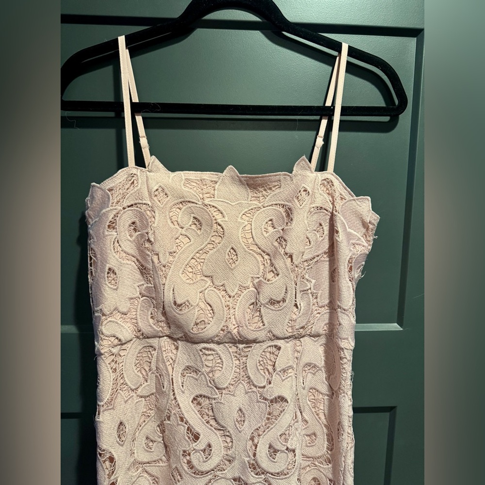 Bardot Lina Blush Lace Midi Dress - Picture 8 of 9